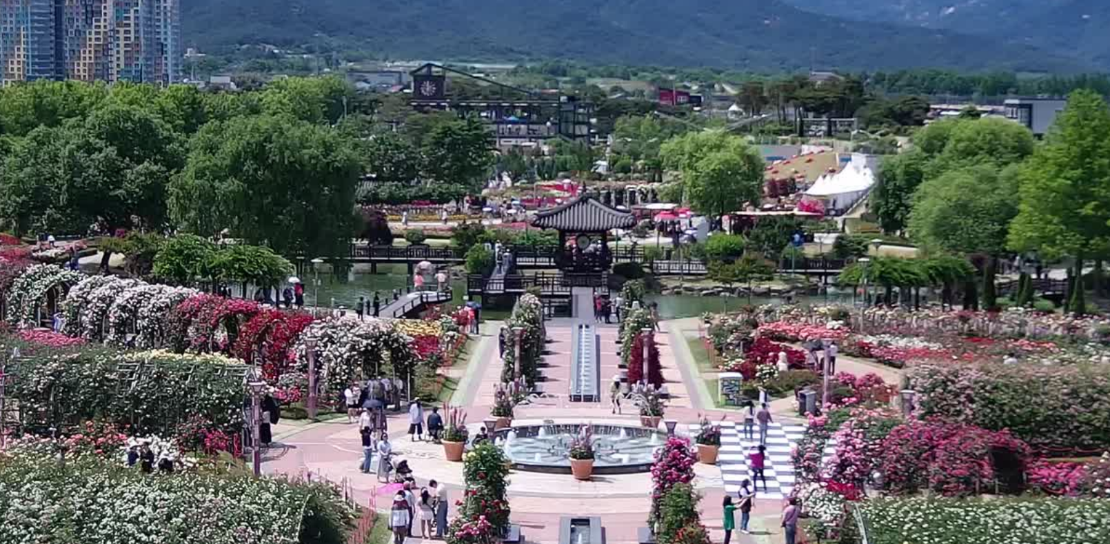 곡성세계장미축제