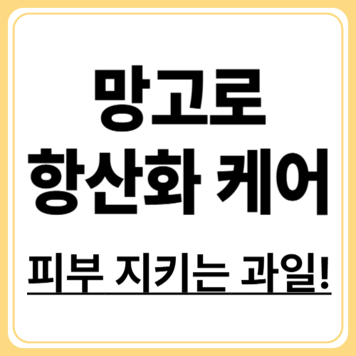 망고로 피부 건강 지키기! 항산화 과일의 달콤한 매력
