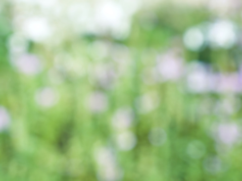 산림기사 응시자격