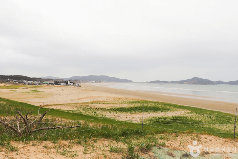 신두리해수욕장 (태안군)