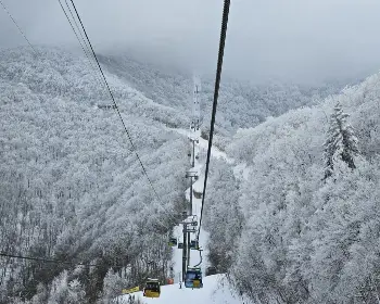 발왕산 케이블카_14