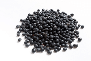 대장에 좋은 음식19