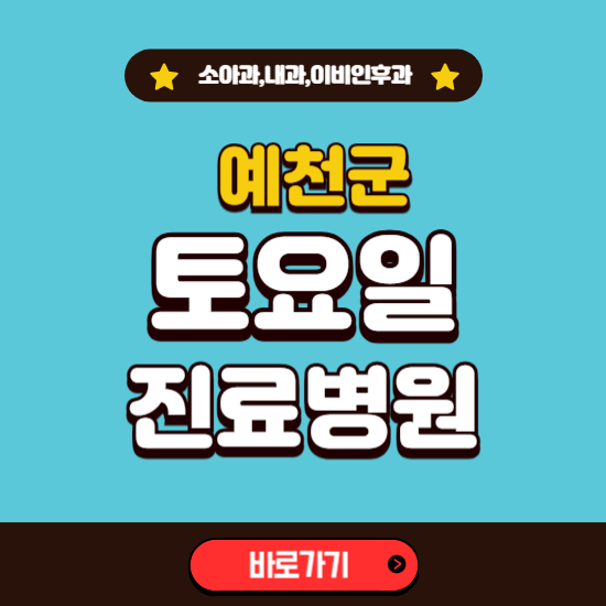 예천군 토요일 진료 병원 찾기 ❘ 주말 문여는 소아과, 내과, 이비인후과 리스트