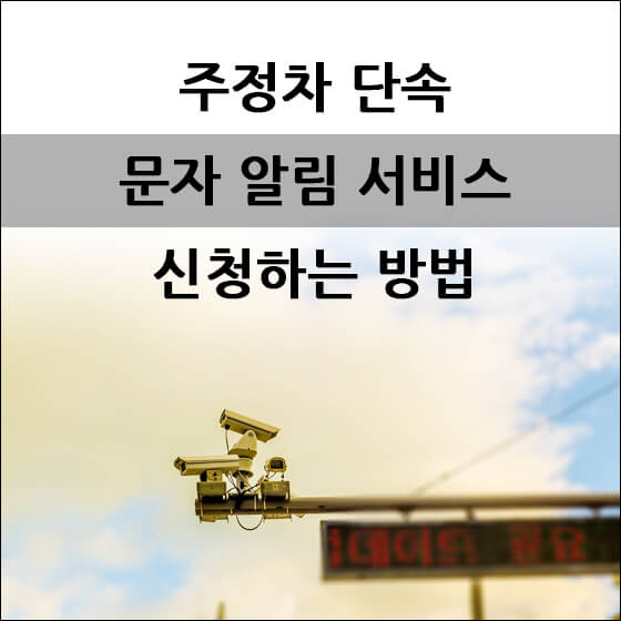 도로 위 CCTV