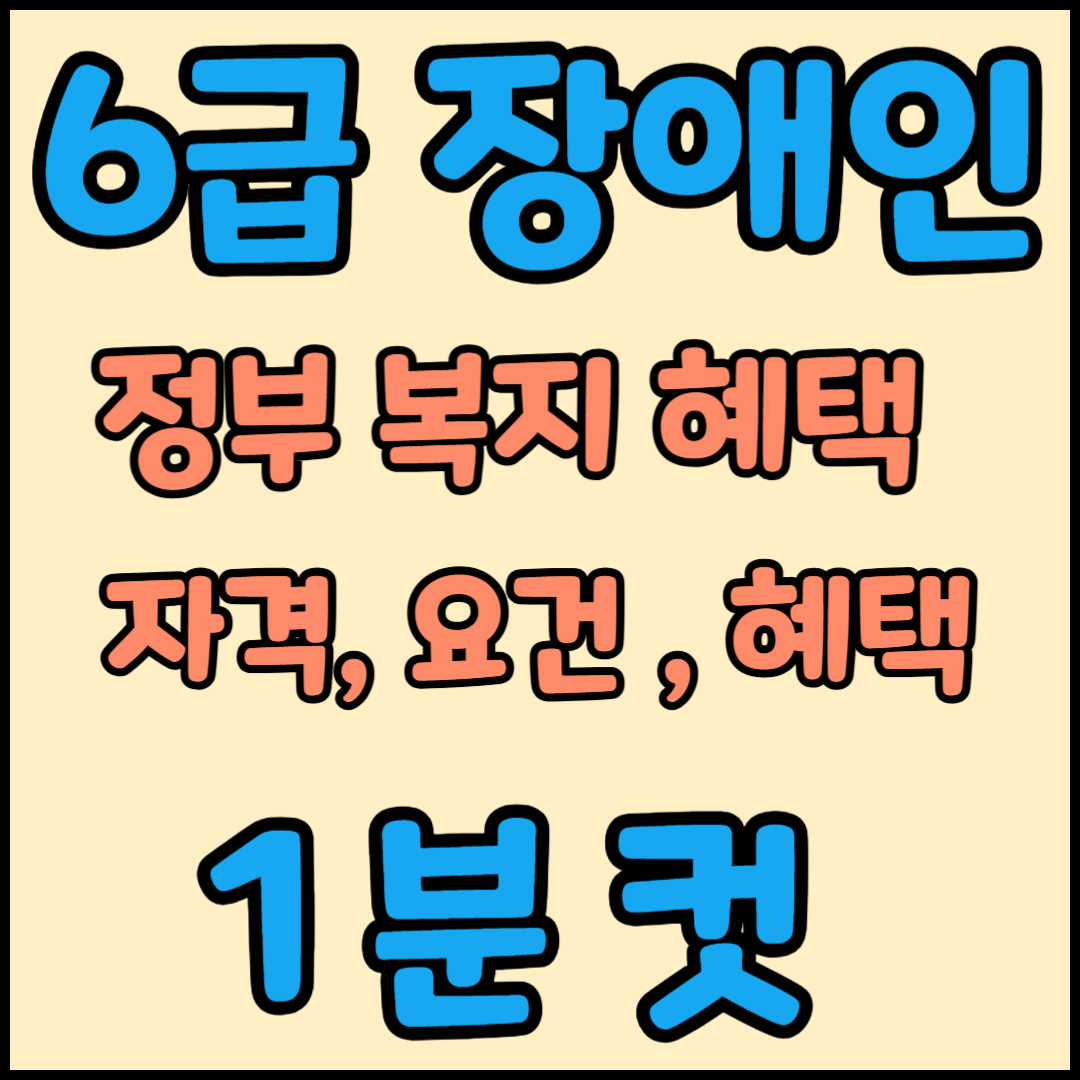 6급 장애인 정부 복지 혜택