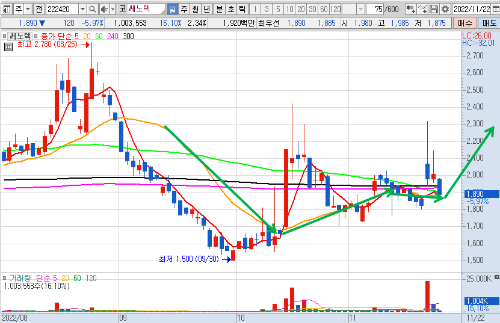 쎄노텍 일봉 차트