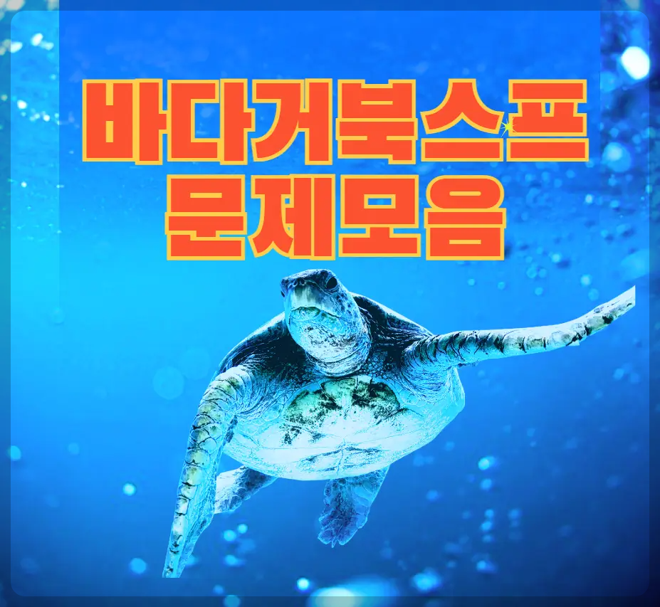 바다거북스프 문제모음