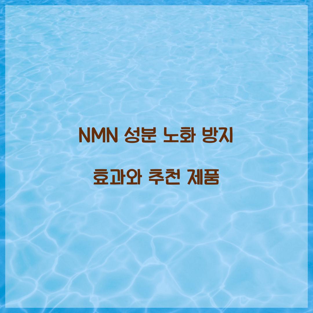 NMN 성분 노화 방지