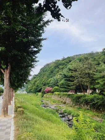 창녕 가볼만한곳 베스트10 현지인 추천 필수코스_17