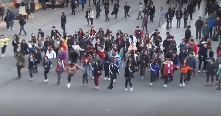 독도는 우리땅 플래시몹