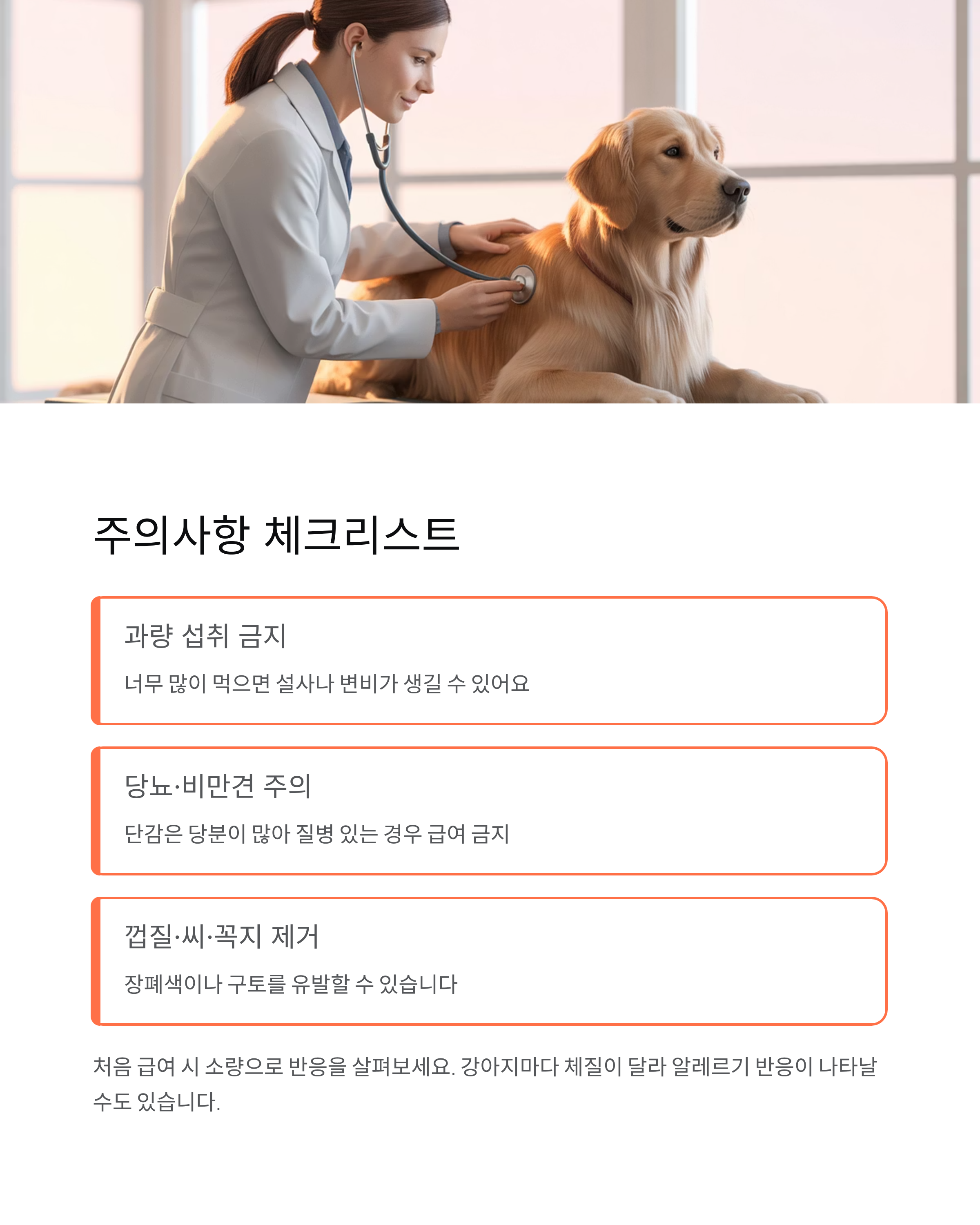 강아지 단감 먹어도 될까? 안전한 급여법과 주의사항 완전 정리 🍊