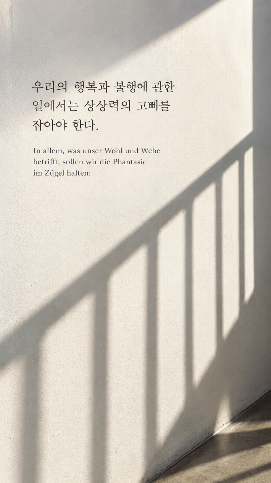 쇼펜하우어 명언 15 우리의 행복과 불행에 관한 일에서는 상상력의 고삐를 잡아야 한다. 흰 벽에 비친 과장된 철제 난간 그림자 배경의 한글&middot;독일어 이미지