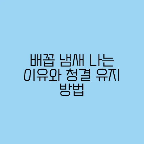 배꼽 냄새 나는 이유와 청결 유지 방법