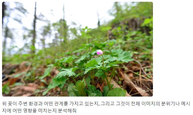 세부요소분석-질문