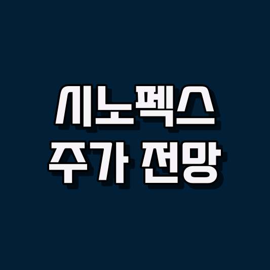 시노펙스 주가 전망