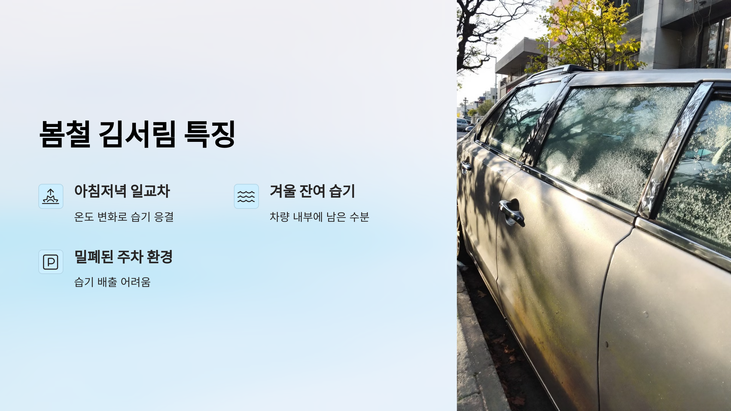 봄철 김서림 특징