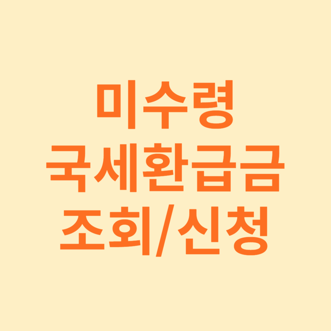 미수령국세환급금