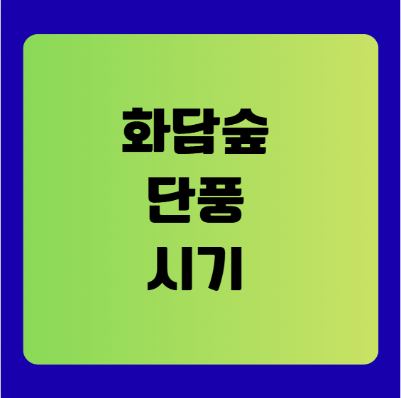 2025 화담숲 단풍 시기 완벽 가이드