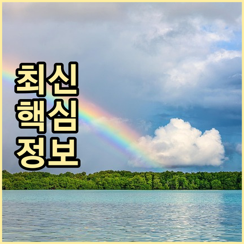 매일 수거제 화곡동 쓰레기 대형 폐기..