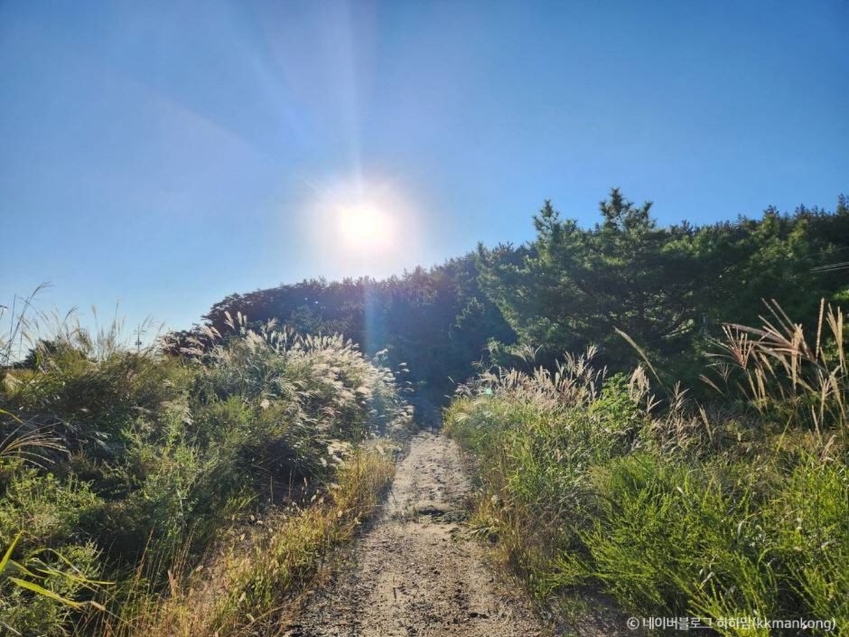 태안 가볼만한곳 베스트10