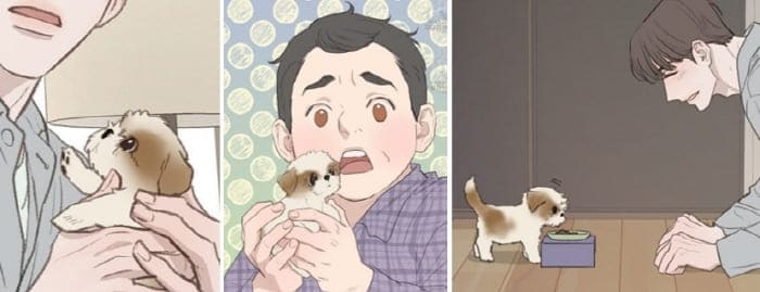 귀여움의극치-원식이