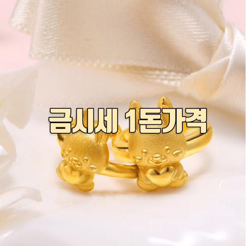 금시세 1돈가격