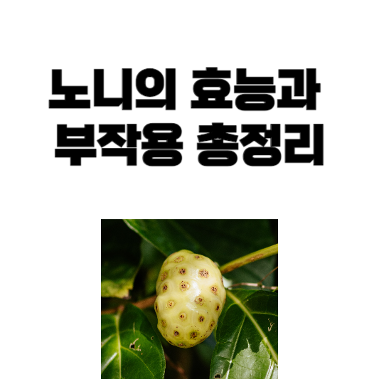 노니의 효능과 부작용