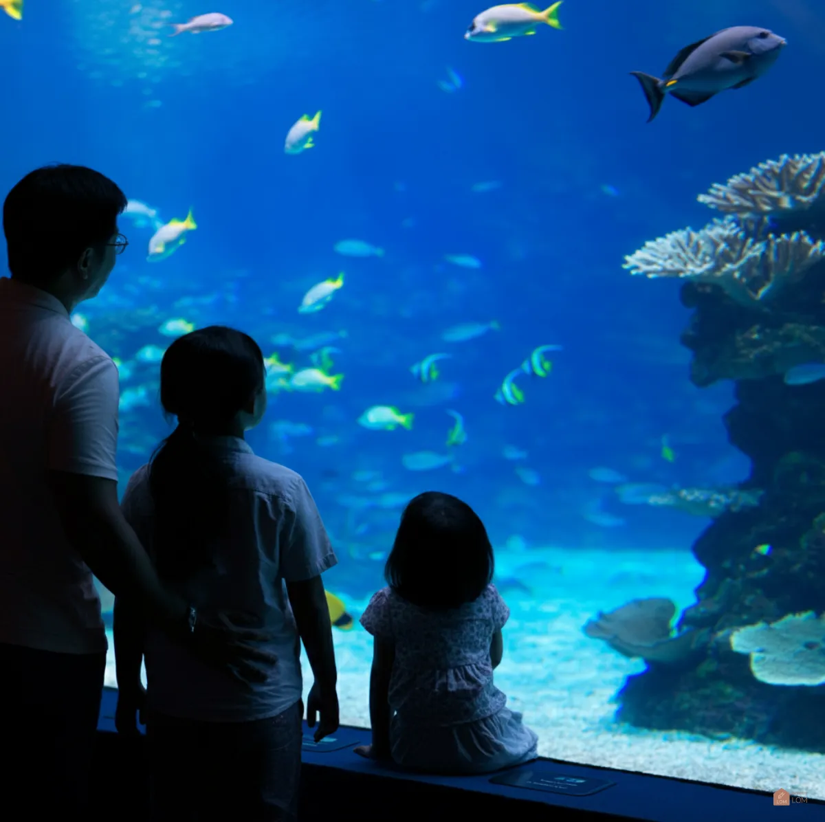 코타키나발루-수족관-05