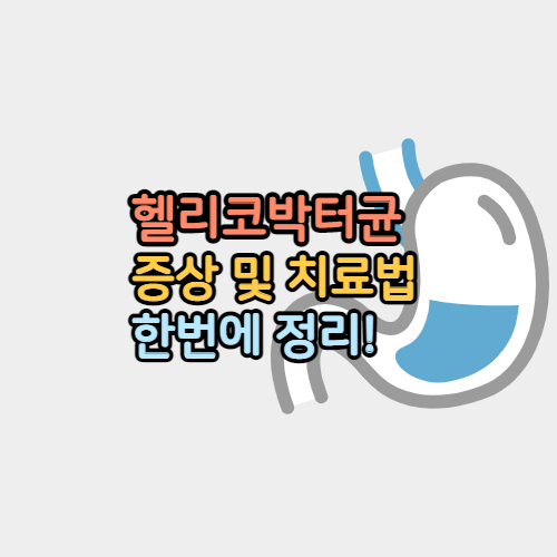 헬리코박터균 원인 및 치료법