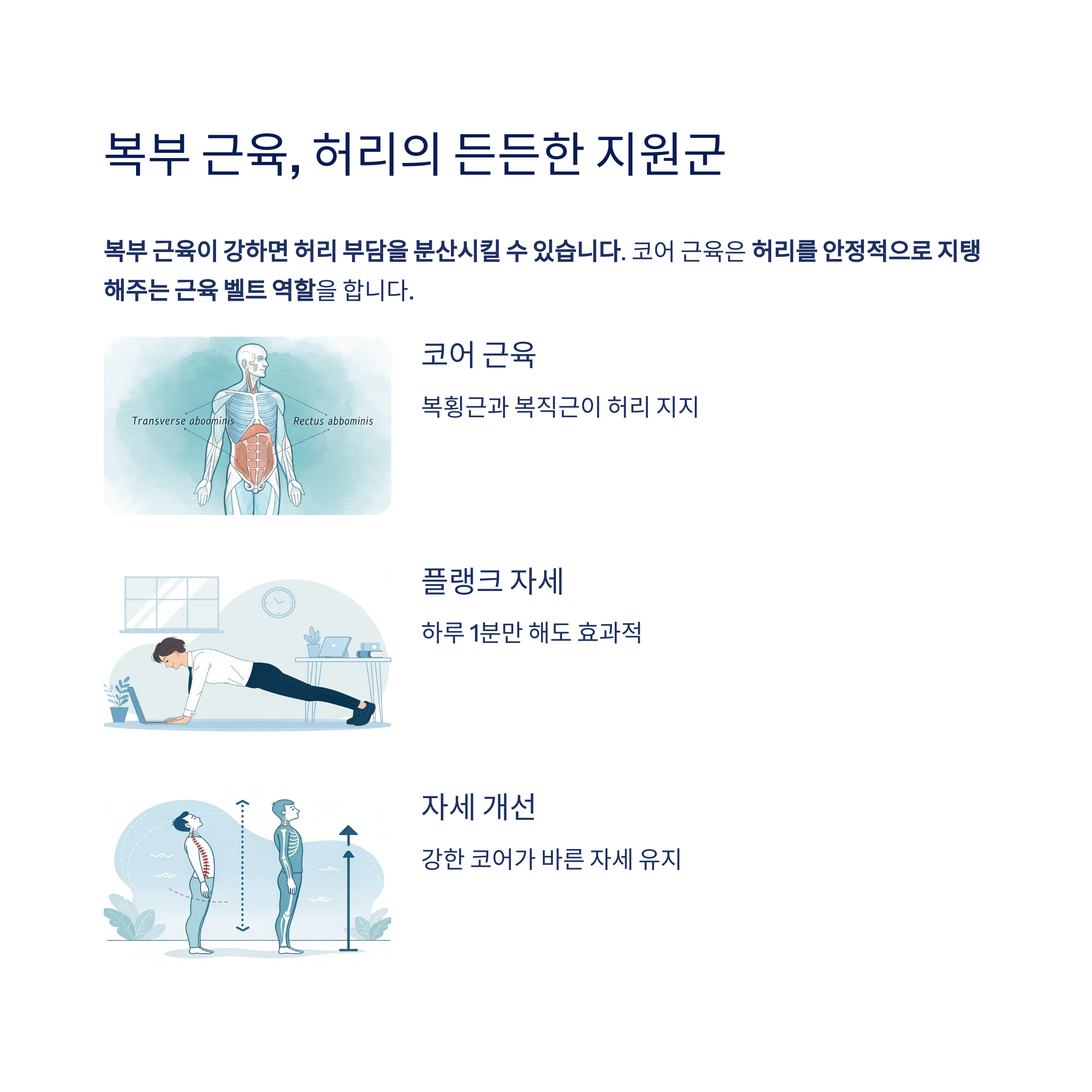 복부 근육 허리의 든든한 지원군