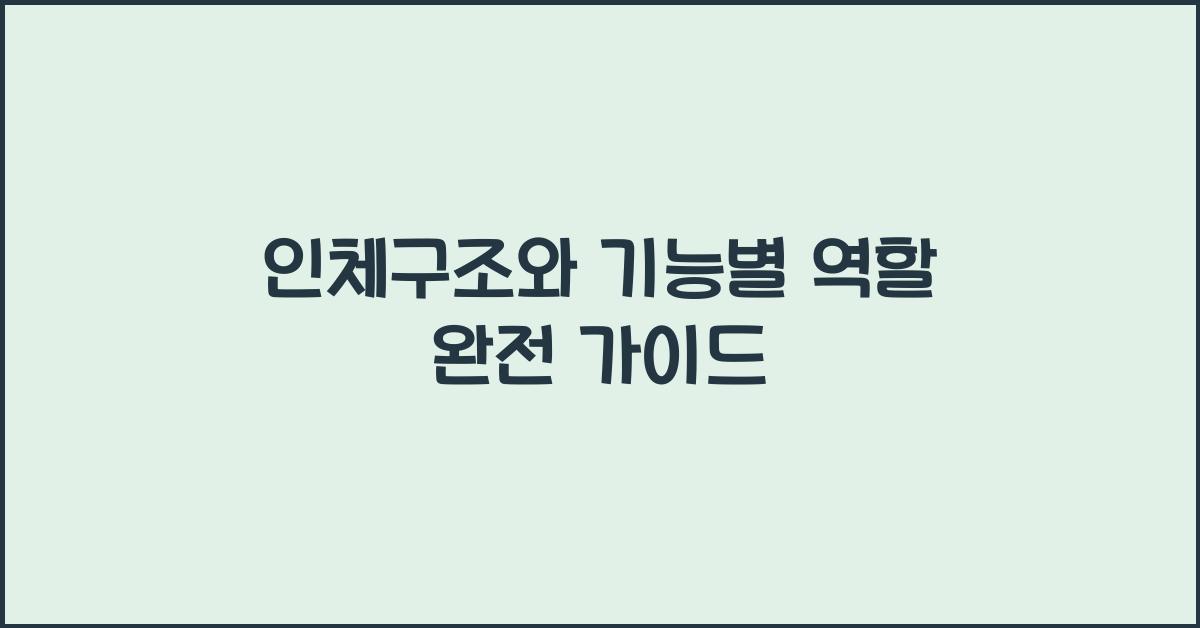 인체구조, 기능별 역할