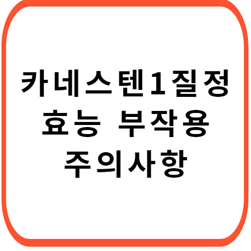 카네스텐-원-질정-가격-썸네일