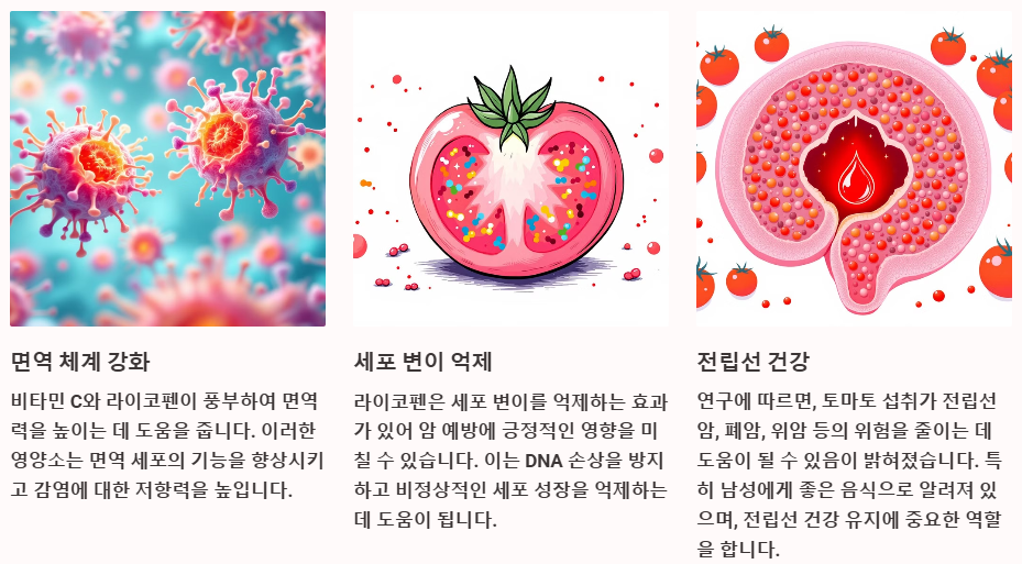 면역력 강화 항암효과