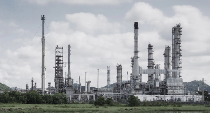 그리즈위드 매출 대표 기업정보 pdf 다운로드