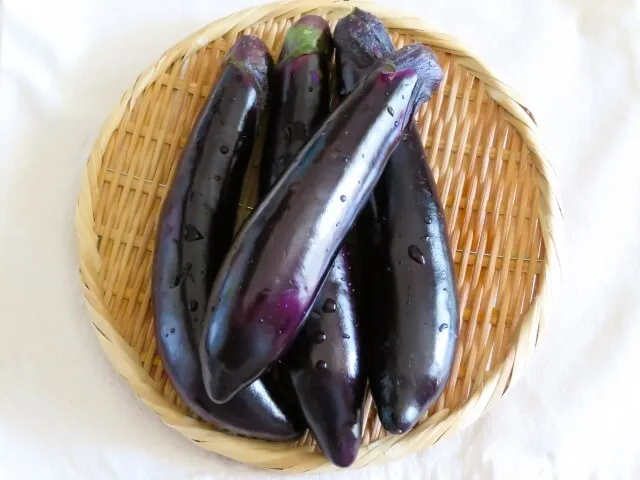 가지 염증 반응 작용