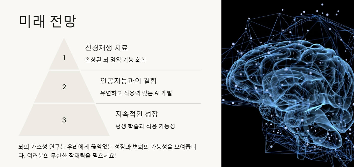 뇌의 가소성