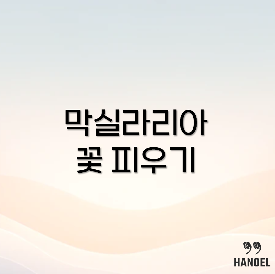 막실라리아 꽃 피우기