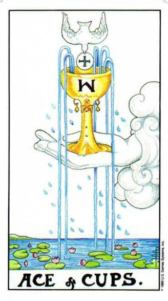 에이스컵&#44; ACE of CUPS