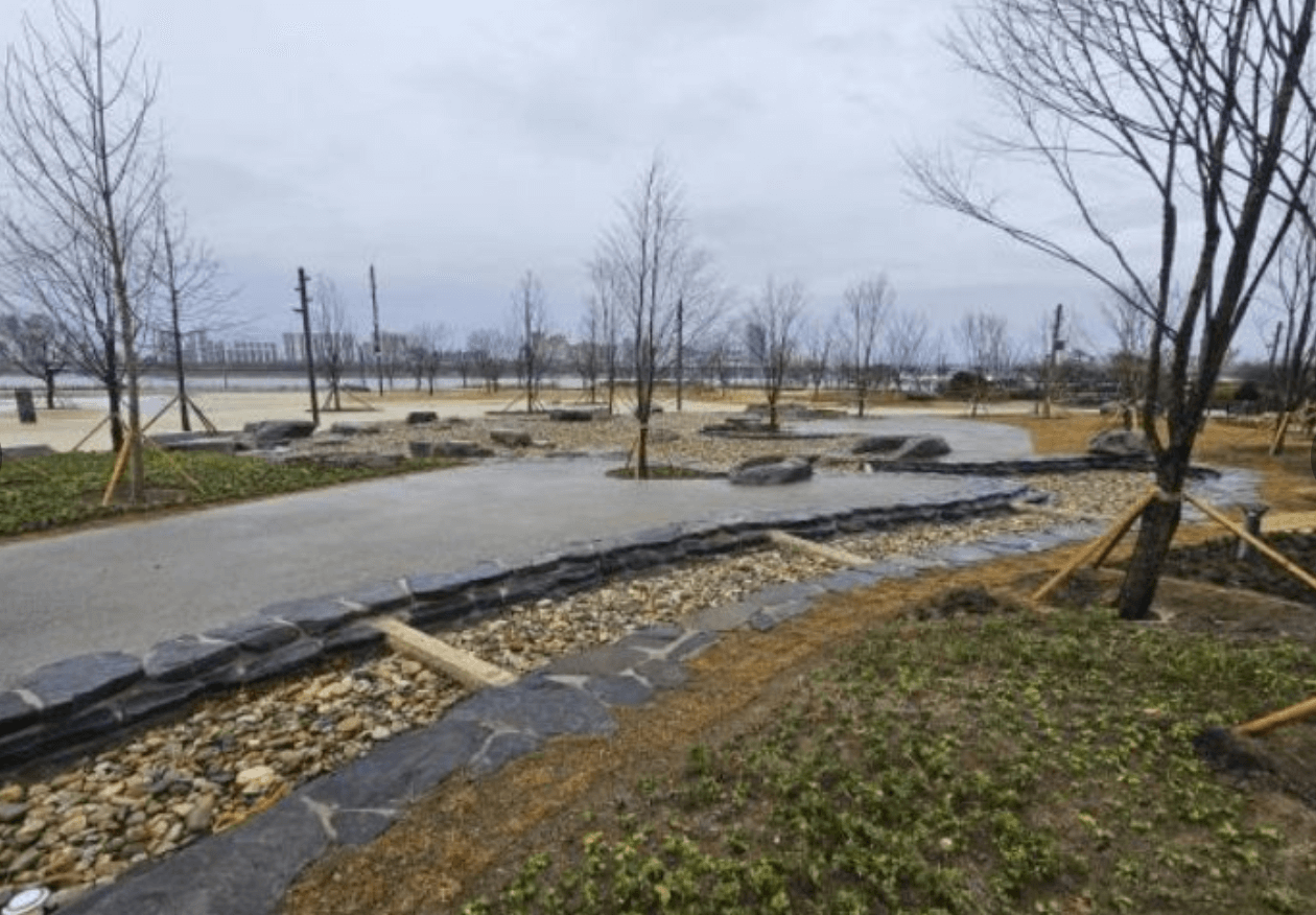 한강 수영장 잠실 자연형 물놀이장 