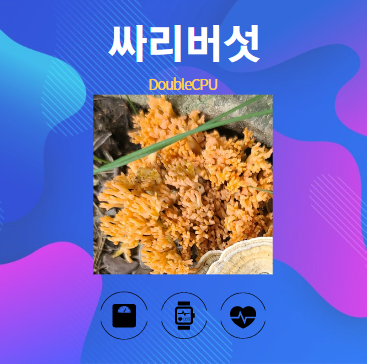 싸리버섯 알아보기