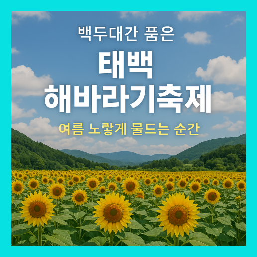 태백 해바라기축제 (+입장료)