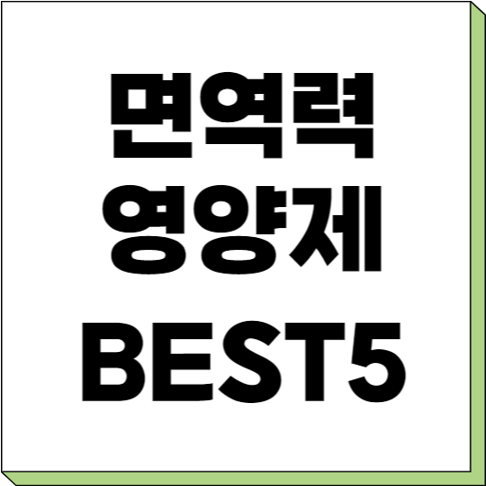 면역력 영양제 추천