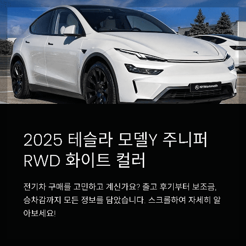 2025 테슬라 모델Y 주니퍼 RWD 화이트 컬러 신차 출고 후기부터 보조금·실내 승차감까지 총정리
