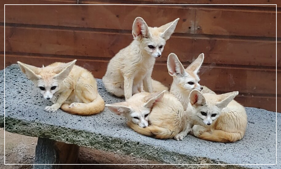 울산 가볼만한곳 베스트10 울산대공원