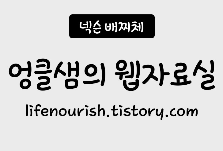 넥슨 배찌체