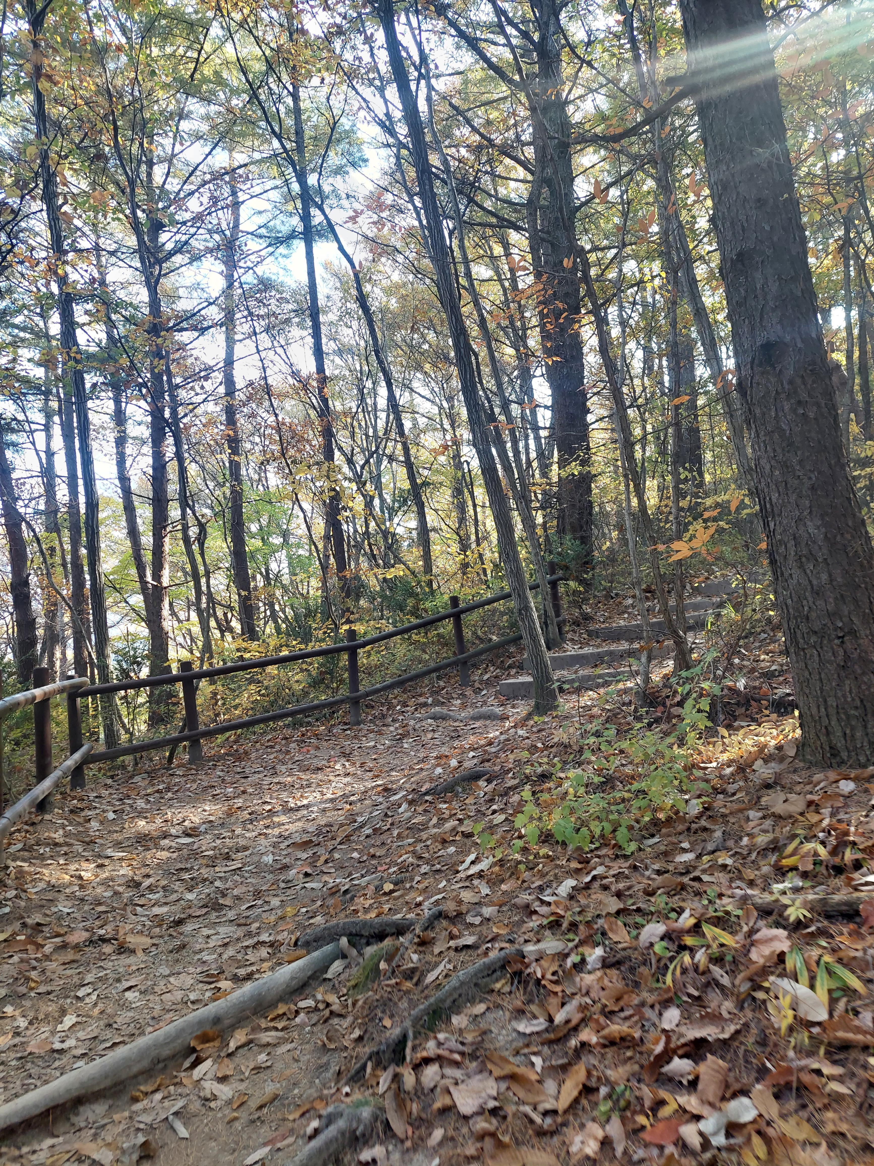 주왕산