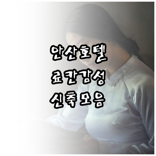 안산 호텔 추천 5곳 료칸 테마 신축..