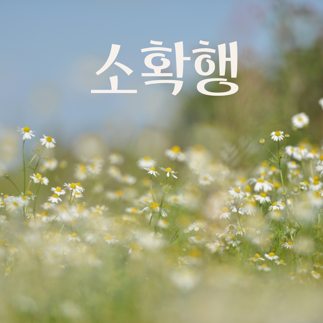 소확행의 정의와 의미