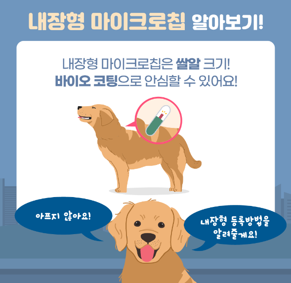 내장형 마이크로칩