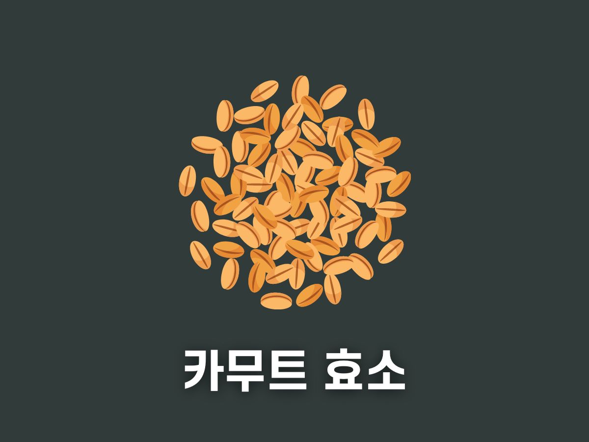 카무트 효소